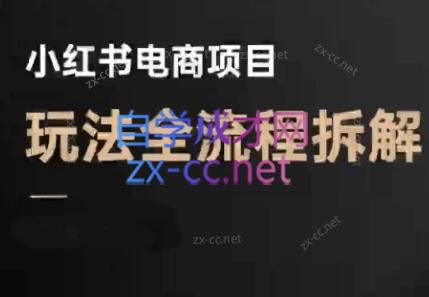 菲菲老师·小红书电商玩法(更新9月)-邪修侠学院