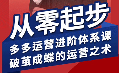海神·拼多多运营进阶系统课(更新9月)-邪修侠学院
