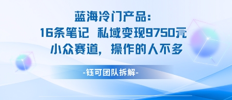 蓝海项目：16条笔记私域变现9750米小众赛道操作的人不多-邪修侠学院