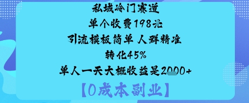 私域冷门赛道:单个收费198米引流模板简单人群精准转化45%单人一天大概收益是1k+-邪修侠学院
