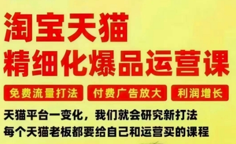 淘宝天猫精细化爆品运营课,免费流量打法-付费广告放大-利润增长-三大核心痛点,一次全部解决-邪修侠学院