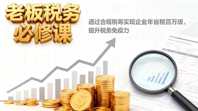 老板税务必修课,通过合规税筹实现企业年省税百万级,提升税务免疫力-邪修侠学院