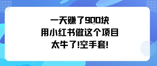 一天挣了9张用小红书做这个项目太牛了,空手套-邪修侠学院
