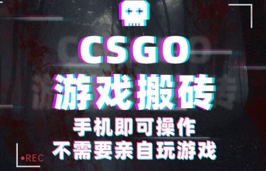 CSGO游戏挂G捡漏,单日扫货5张+,年底小高峰上车可吃肉,手机即可操作,兼职副业创业网创【揭秘】-邪修侠学院