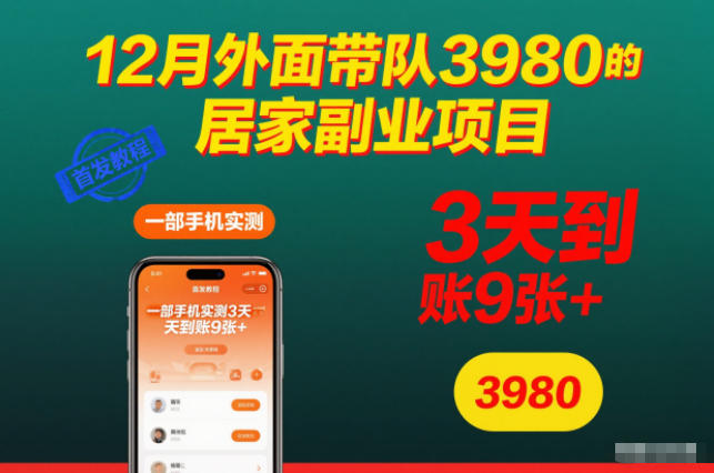 12月外面带队3980的居家副业项目，一部手机实测3天到账9张+，首发教程【揭秘】-邪修侠学院