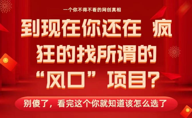 马上26年了,你还在找所谓的风口项目?别傻了,看完这个你全都懂了!【揭秘】-邪修侠学院