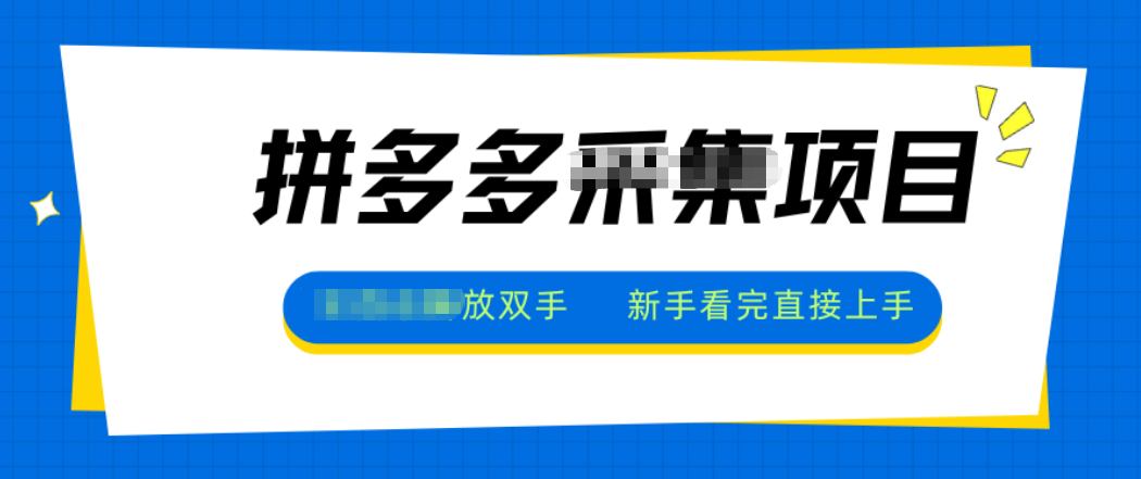 拼多多电商采集,一小时50+,操作简单,零投资-邪修侠学院