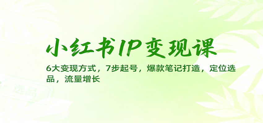 小红书IP变现课:6大变现方式,7步起号,爆款笔记打造,定位选品,流量增长-邪修侠学院