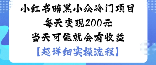 小红书暗黑小众冷门项目每天变现2张当天可能就会有收益-邪修侠学院